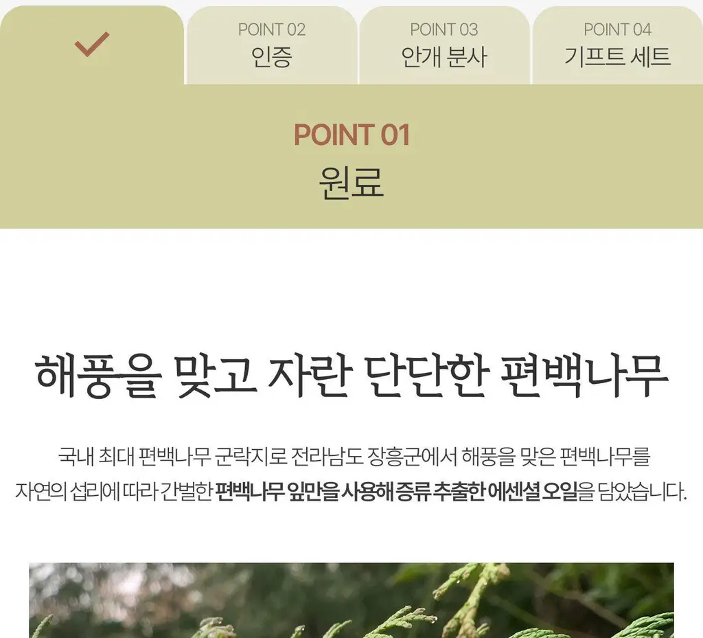 [이수지PICK] 소노시즌 피톤치드 3.0 리츄얼 룸 스프레이 80ml 2종 택1 (시더우드/파인트리) 상세페이지 43